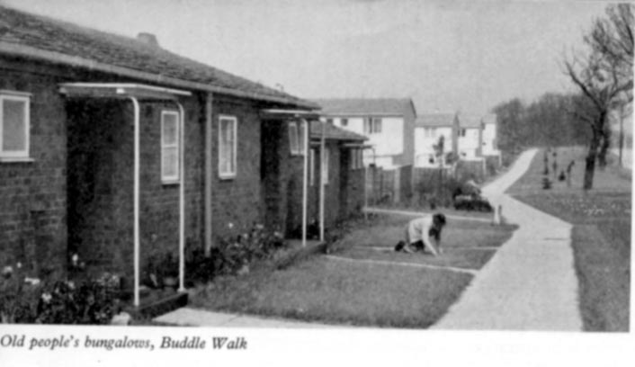 Buddle Walk, 1959